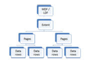 Cluster and Noncluster Index