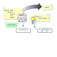SQL Server Checkpoint Running Long Transaction