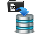 Restore SQL Database Backup