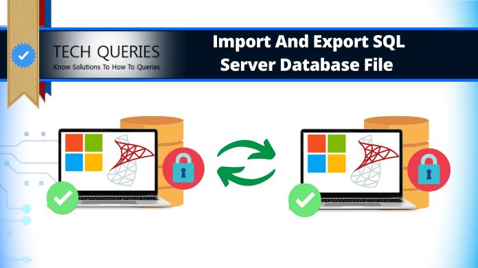 Import and Export SQL Server Database