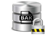 backup encryption in sql server
